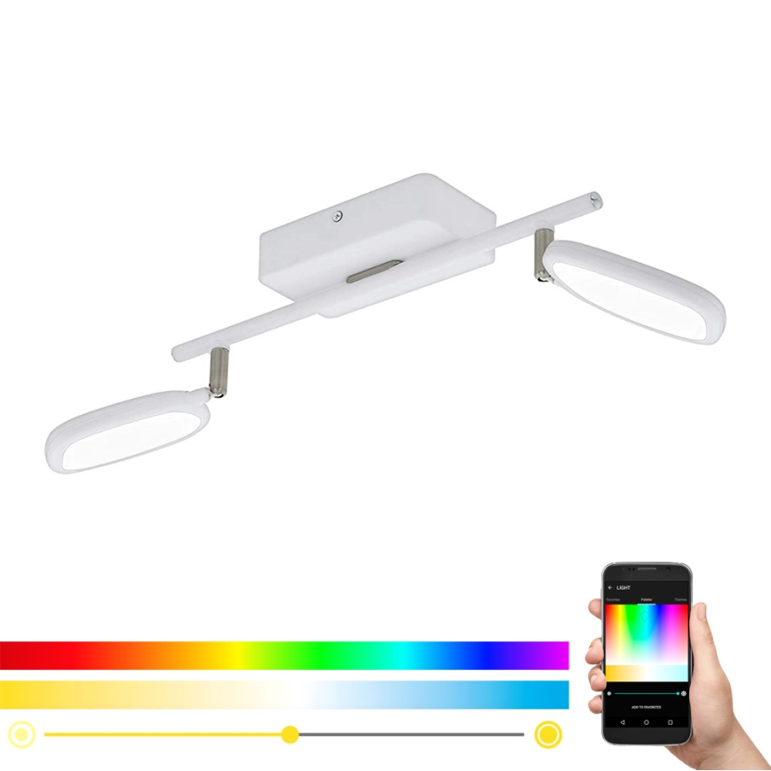 Eglo 97692 - LED RGB Spotlight PALOMBARE-C 2xLED/5W/230V