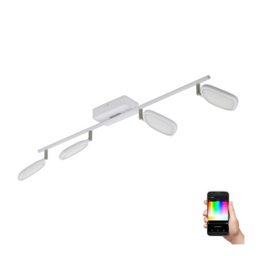 Eglo 97694 - LED RGB Spotlight PALOMBARE-C 4xLED/5W/230V