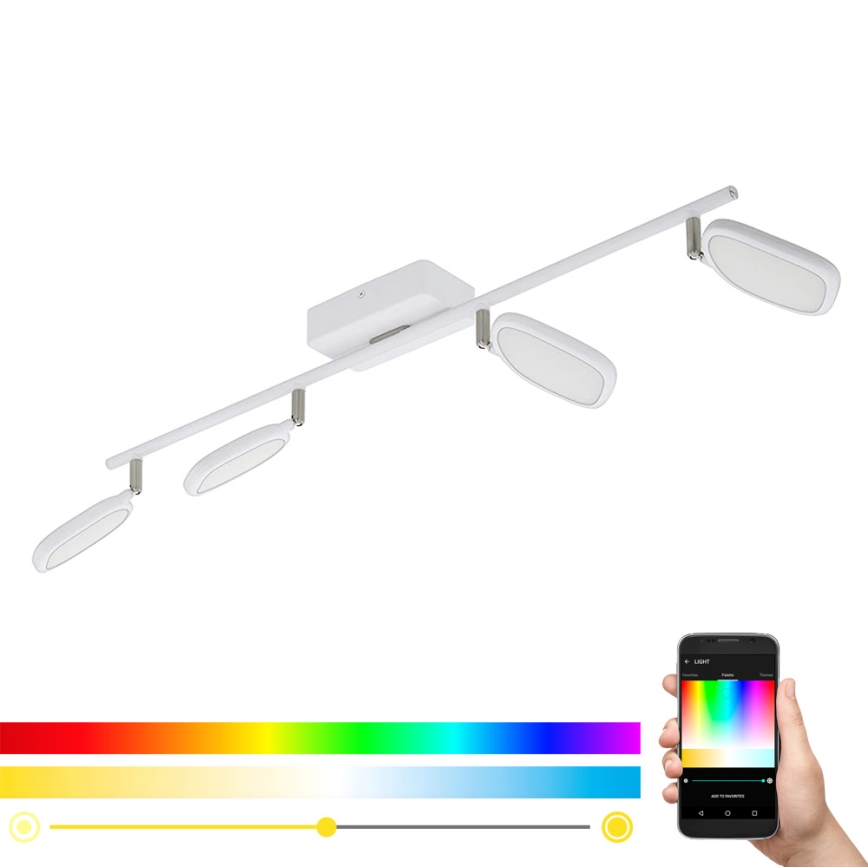 Eglo 97694 - LED RGB Spotlight PALOMBARE-C 4xLED/5W/230V