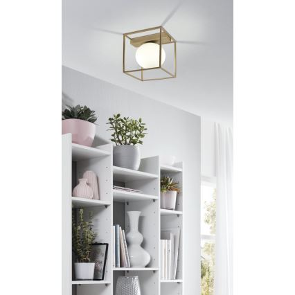 Eglo - Surface-mounted chandelier 1xE14/40W/230V