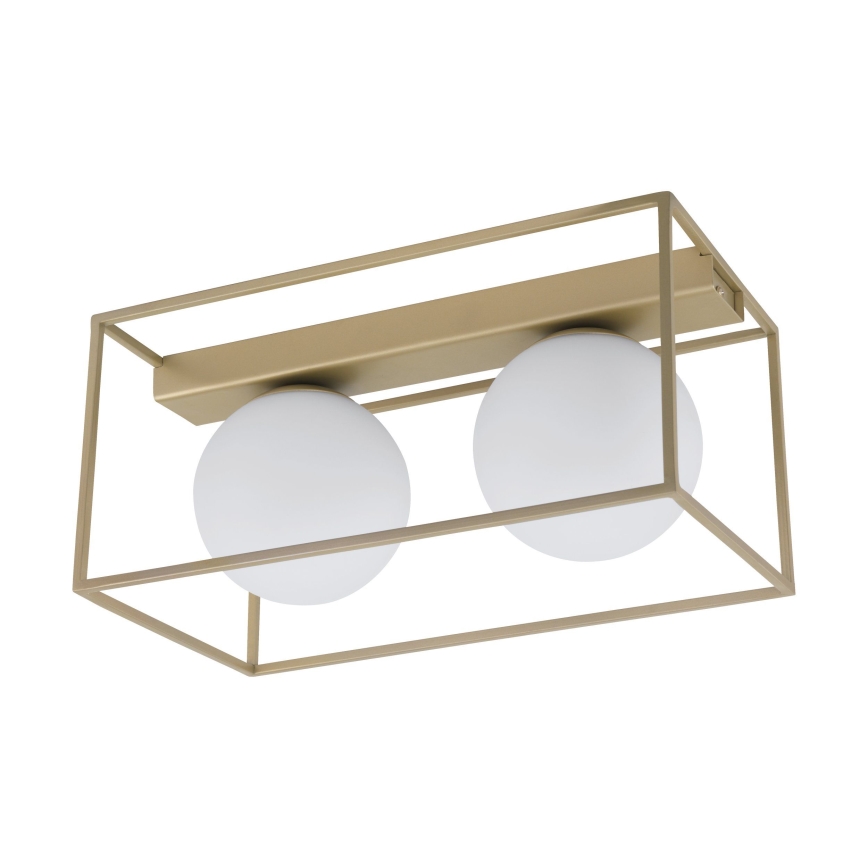 Eglo - Surface-mounted chandelier 2xE14/40W/230V