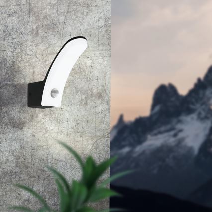 Eglo - LED Outdoor light with sensor LED/11W/230V IP44