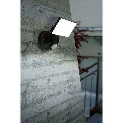 Eglo - LED Outdoor light with sensor LED/15W/230V IP44