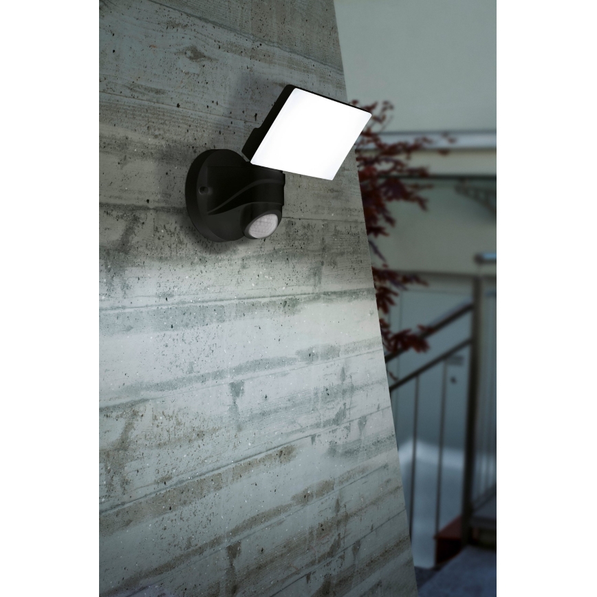 Eglo - LED Outdoor light with sensor LED/15W/230V IP44