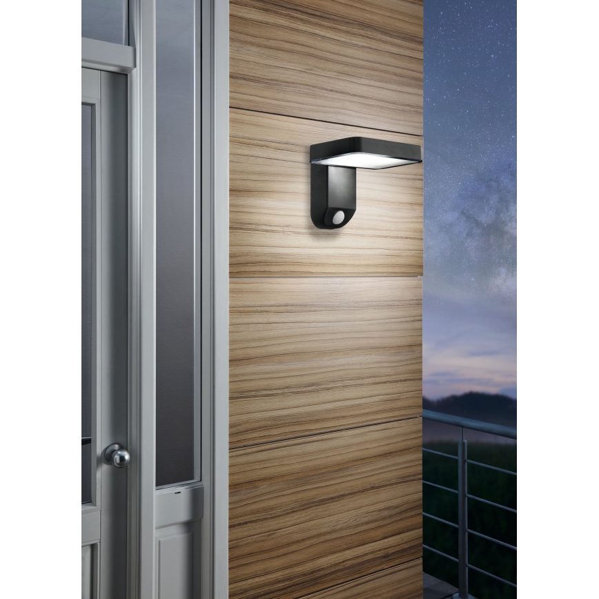Eglo - LED Solar wall light with sensor LED/4,5W/3,7V 2200 mAh IP44
