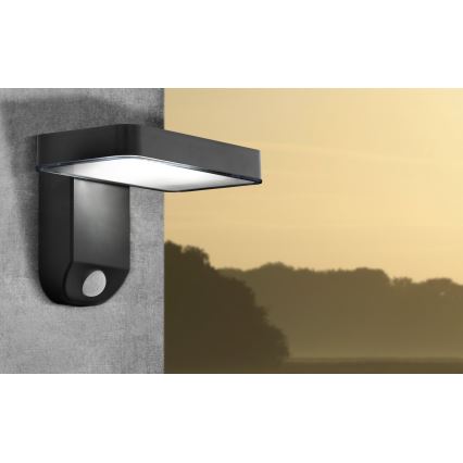 Eglo - LED Solar wall light with sensor LED/4,5W/3,7V 2200 mAh IP44