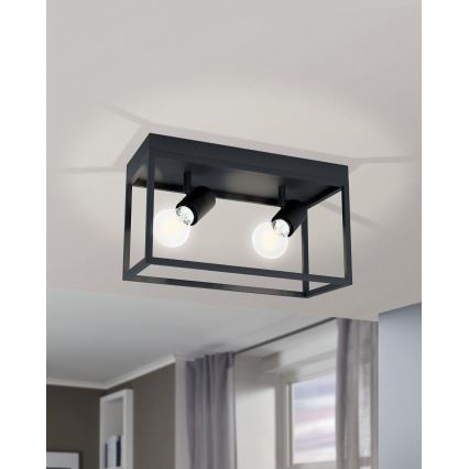 Eglo - Ceiling light 2xE27/40W/230V