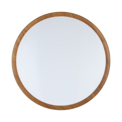 Eglo - LED Ceiling light LED/14,6W/230V