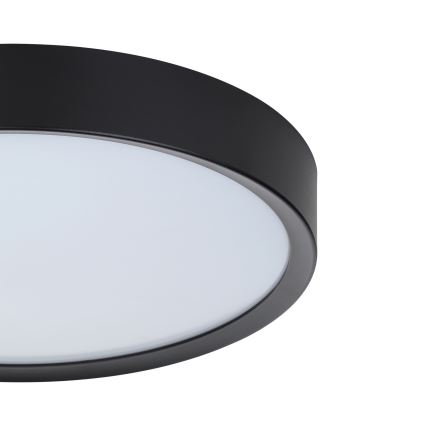 Eglo - LED Ceiling light LED/16,8W/230V