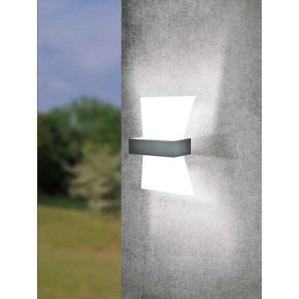 Eglo - LED Outdoor wall light LED/4.8W/230V IP44