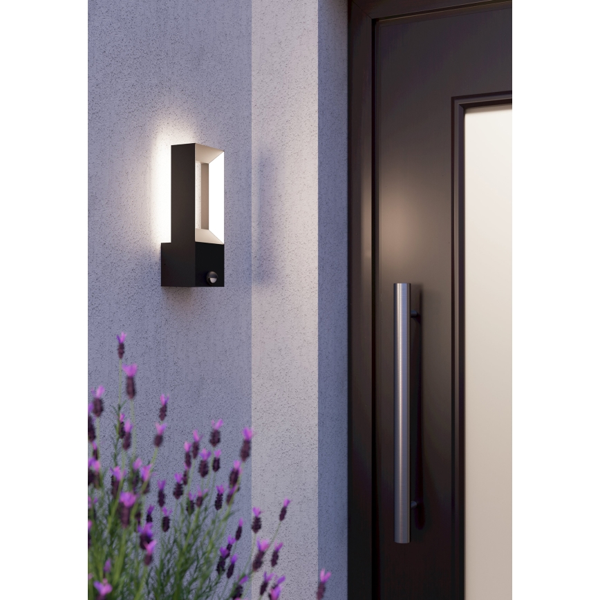 Eglo - LED Outdoor light with a sensor 2xLED/5W/230V IP44