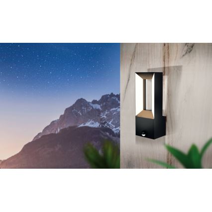 Eglo - LED Outdoor light with a sensor 2xLED/5W/230V IP44