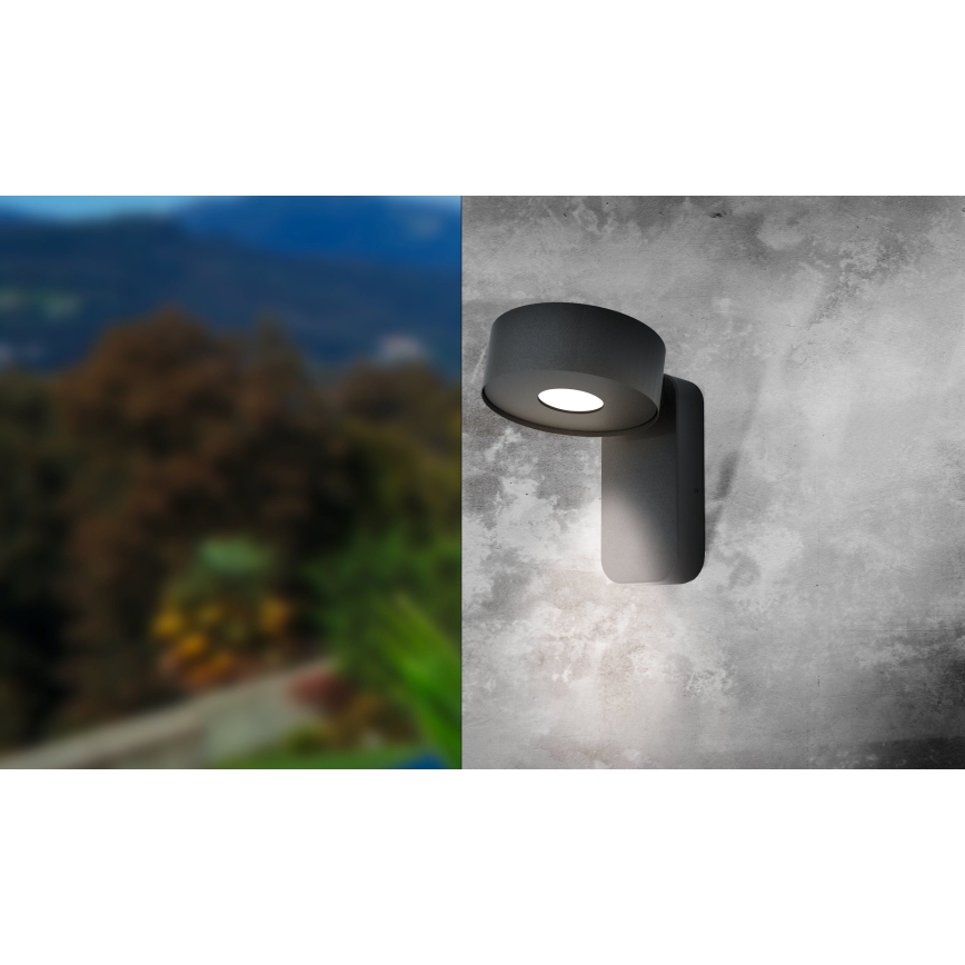Eglo - LED Outdoor wall light LED/6W/230V IP44