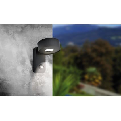 Eglo - LED Outdoor wall light with sensor LED/6W/230V IP44