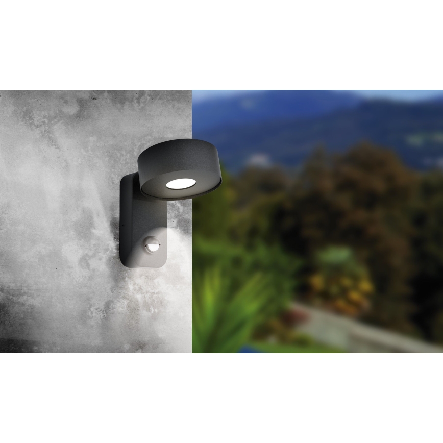 Eglo - LED Outdoor wall light with sensor LED/6W/230V IP44