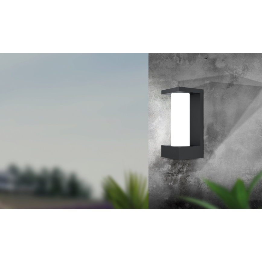 Eglo - LED Outdoor wall light LED/6W/230V IP44