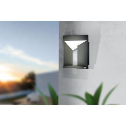 Eglo - LED Outdoor wall light LED/10W/230V IP54