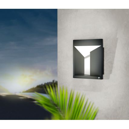 Eglo - LED Outdoor wall light LED/10W/230V IP54