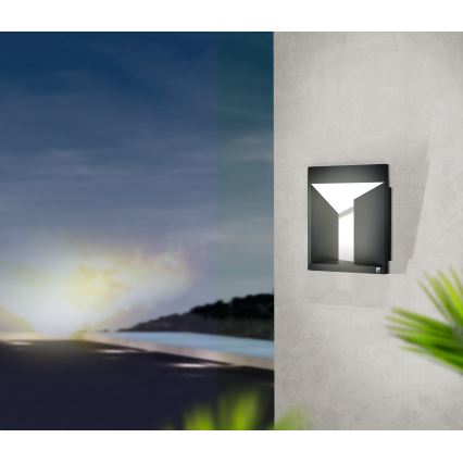 Eglo - LED Outdoor wall light LED/10W/230V IP54