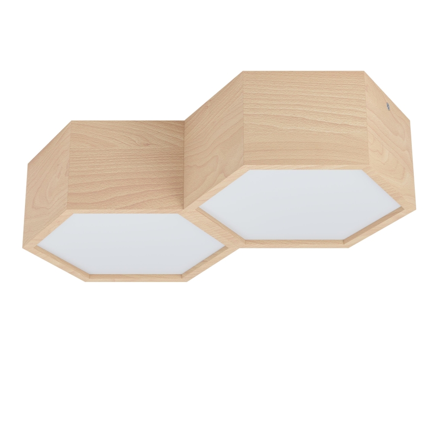 Eglo - Ceiling light 2xE27/9W/230V