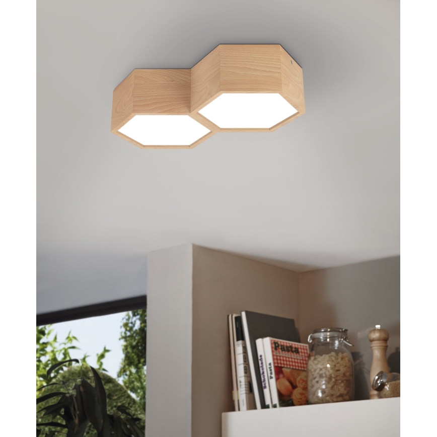 Eglo - Ceiling light 2xE27/9W/230V