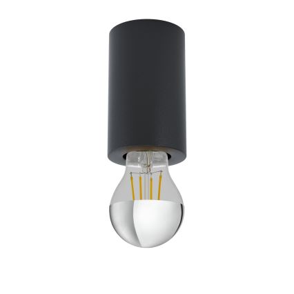 Eglo - Ceiling light 1xE27/40W/230V
