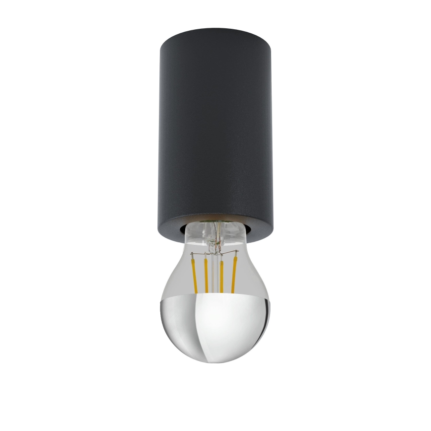 Eglo 99065 - SALUZZO Ceiling light 1xE27/40W/230V