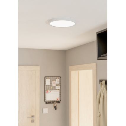 Eglo - LED Ceiling light LED/20W/230V