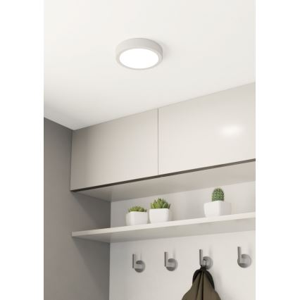 Eglo - LED Ceiling light LED/10,5W/230V
