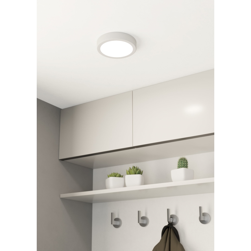 Eglo - LED Ceiling light LED/10,5W/230V