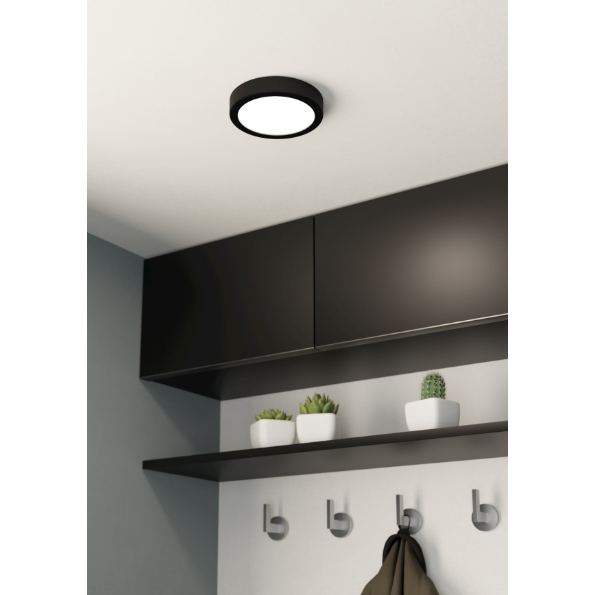 Eglo - LED Ceiling light LED/10,5W/230V