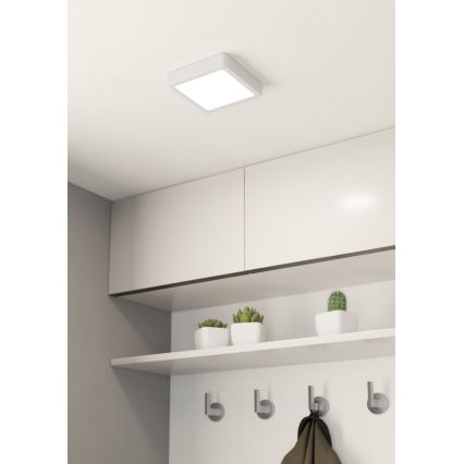 Eglo - LED Ceiling light LED/10,5W/230V