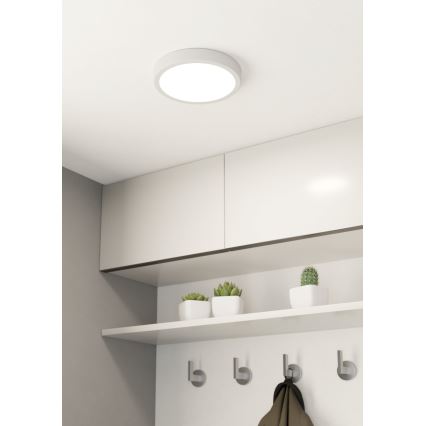 Eglo - LED Dimming ceiling light LED/16,5W/230V