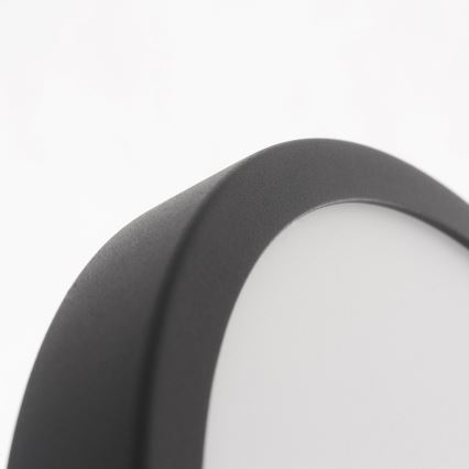Eglo - LED Bathroom ceiling light LED/20W/230V IP44