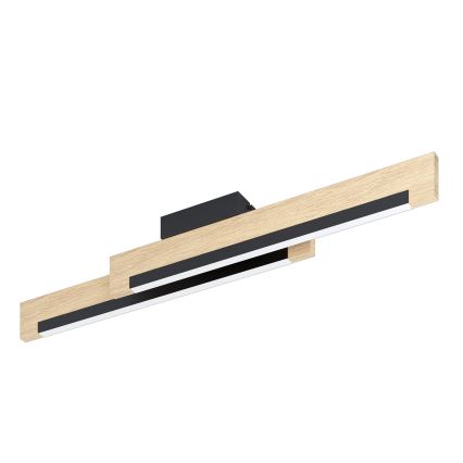 Eglo - LED Dimmable ceiling light 2xLED/10W/230V
