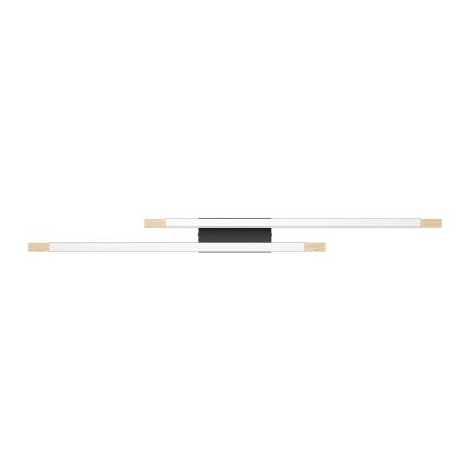 Eglo - LED Dimmable ceiling light 2xLED/10W/230V