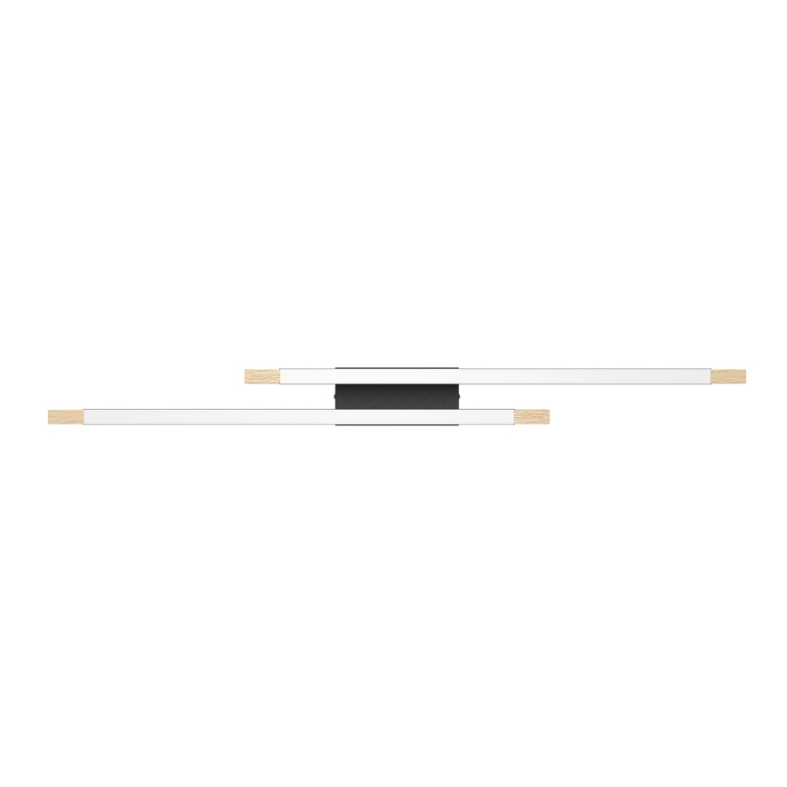 Eglo - LED Dimmable ceiling light 2xLED/10W/230V