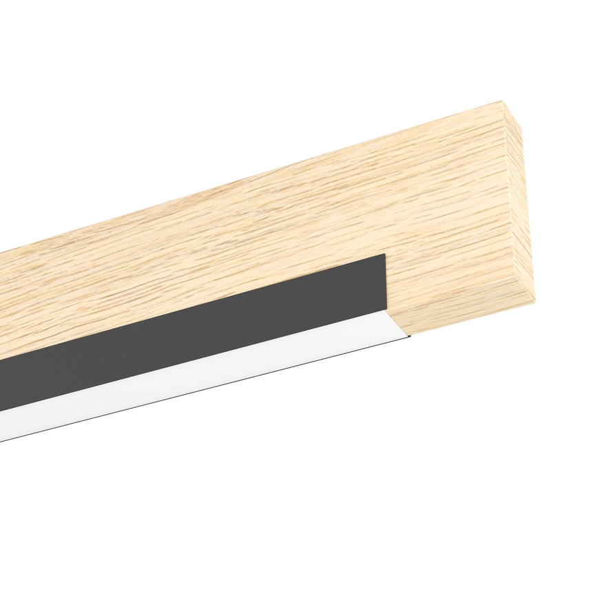 Eglo - LED Dimmable ceiling light 2xLED/10W/230V