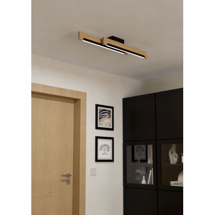Eglo - LED Dimmable ceiling light 2xLED/10W/230V