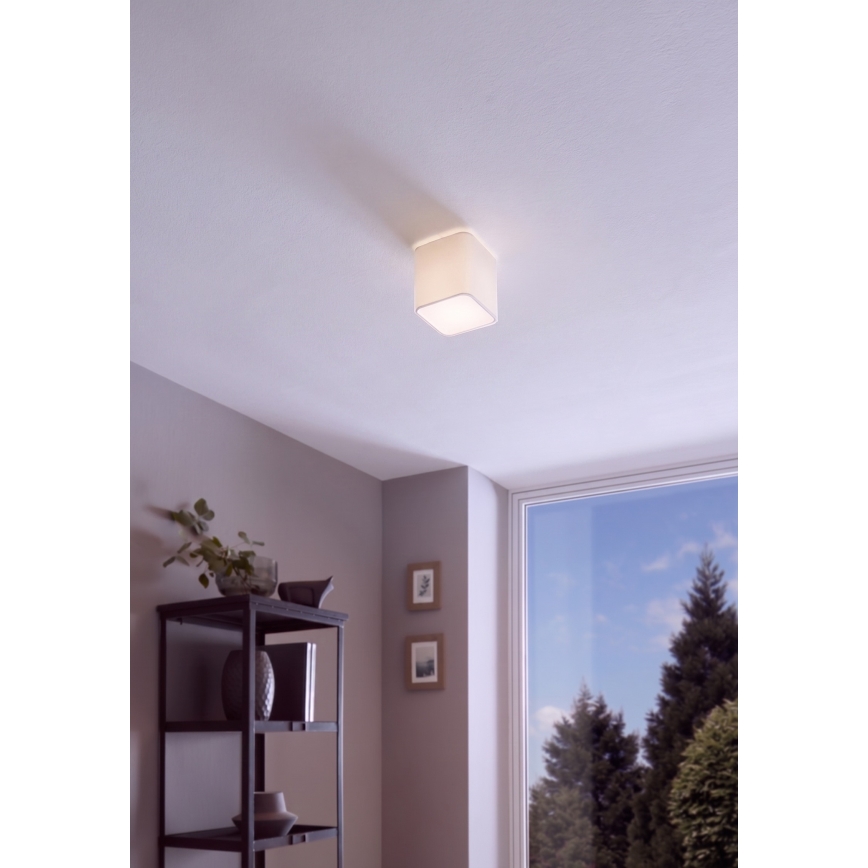 Eglo - Ceiling light 1xE27/28W/230V