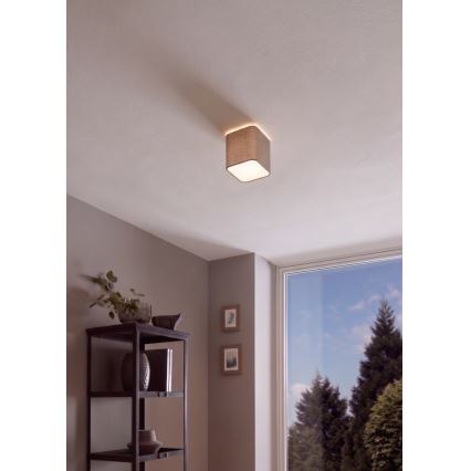 Eglo - Ceiling light 1xE27/28W/230V