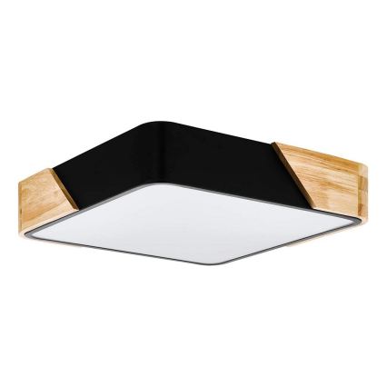 Eglo - Ceiling light 2xE27/28W/230V