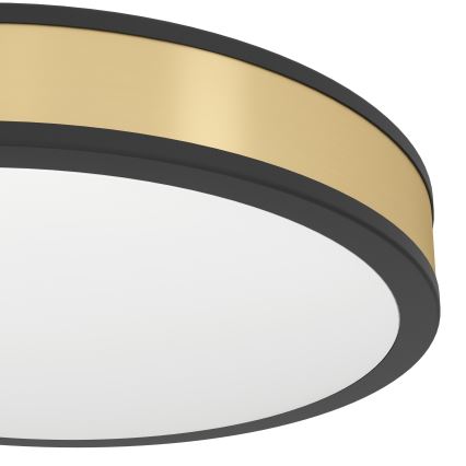 Eglo - LED Ceiling light LED/24W/230V