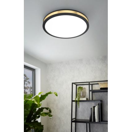 Eglo - LED Ceiling light LED/24W/230V