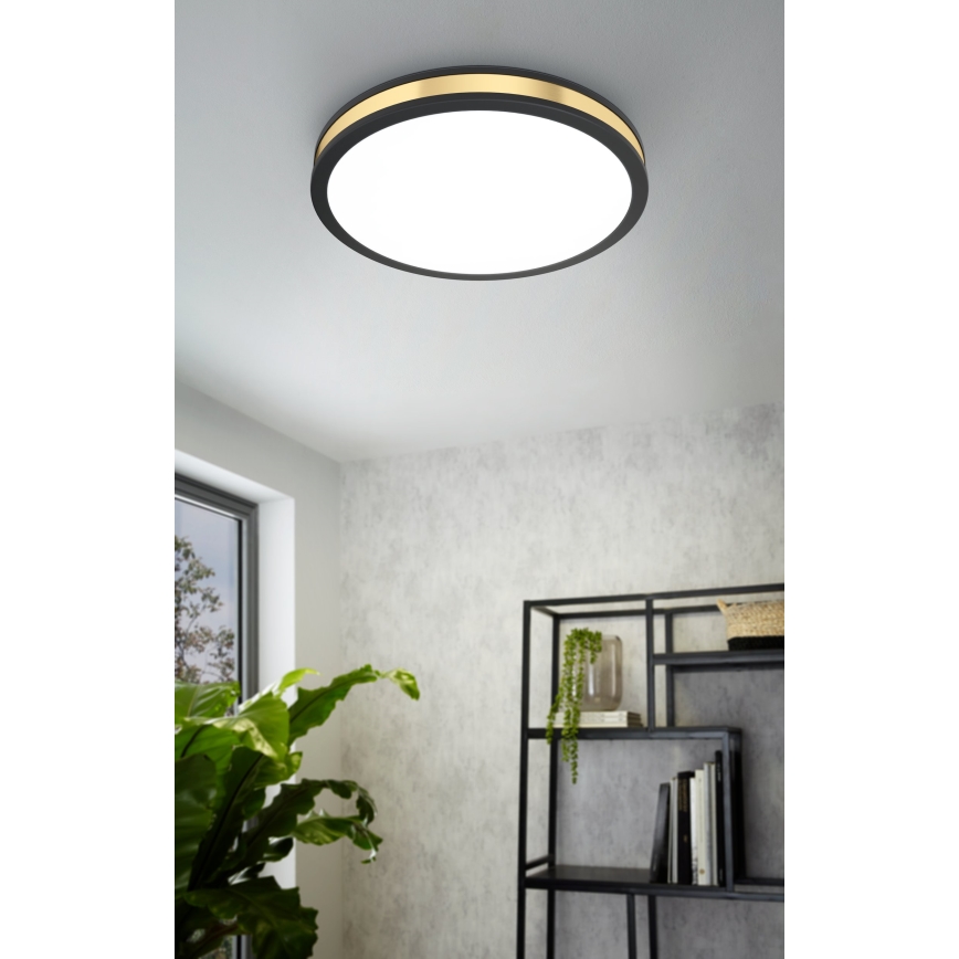 Eglo - LED Ceiling light LED/24W/230V