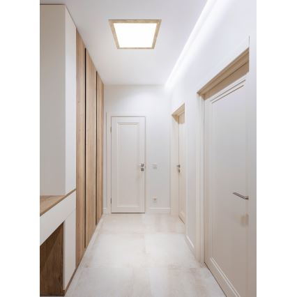 Eglo - LED Ceiling light LED/32W/230V 645x645 mm