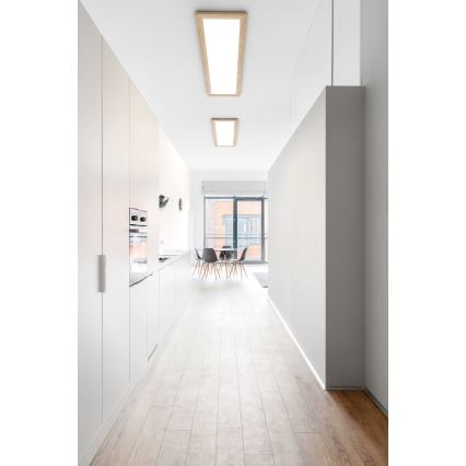 Eglo - LED Ceiling light LED/32W/230V 345x1245 mm
