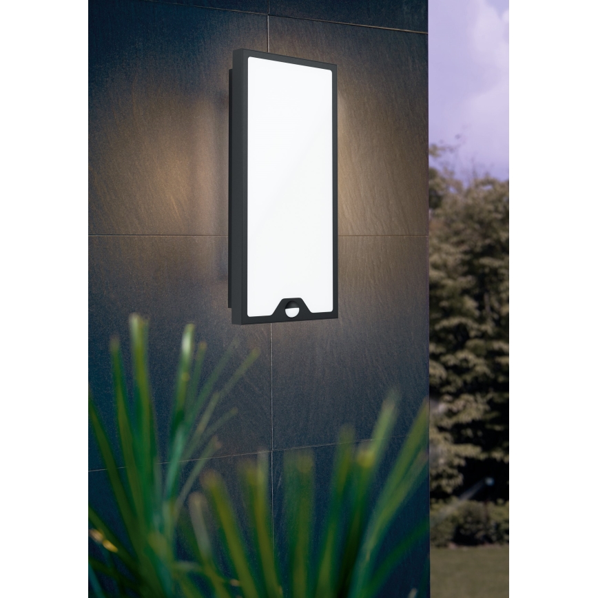 Eglo - LED Outdoor wall light with a sensor LED/16W/230V IP44