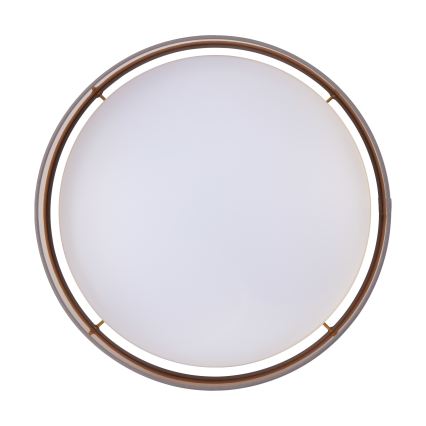 Eglo - LED Ceiling light LED/24W/230V