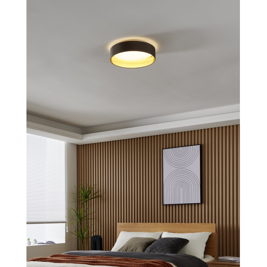 Eglo - LED Ceiling light LED/24W/230V